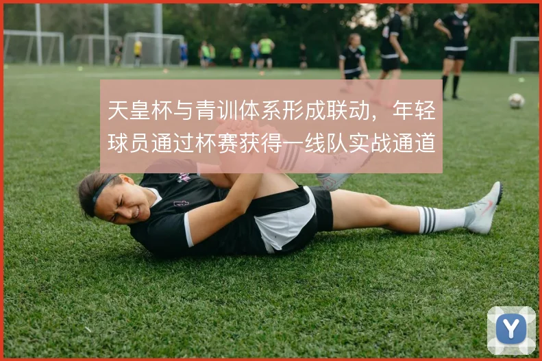 天皇杯与青训体系形成联动,年轻球员通过杯赛获得一线队实战通道