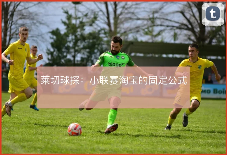 莱切球探：小联赛淘宝的固定公式